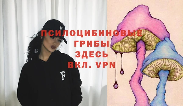 mix Верея