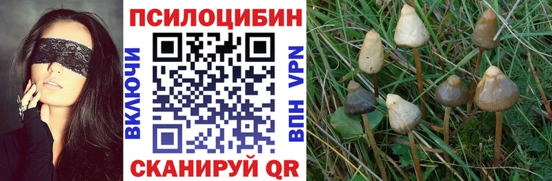Купить где  Мензелинск  Псилоцибиновые грибы мухоморы 